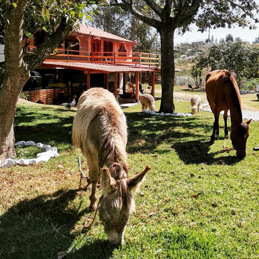 La Granja De Papa Alberto Puembo Bagian luar foto